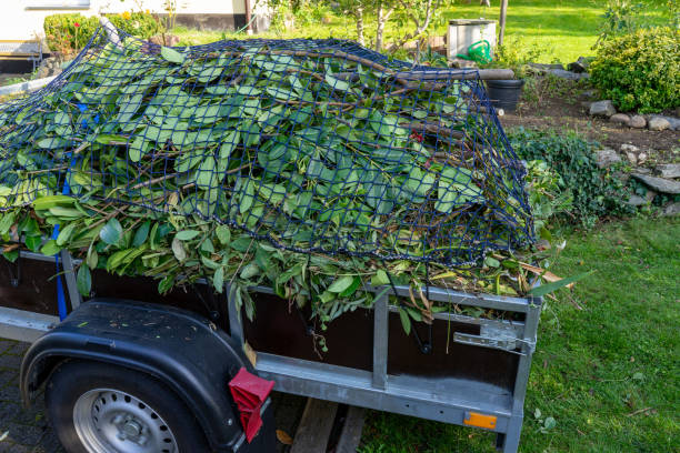Best Hoarding Cleanup  in Willamina, OR